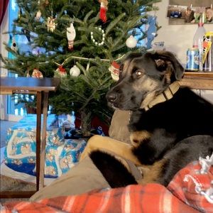 Meet your Posher, Billy